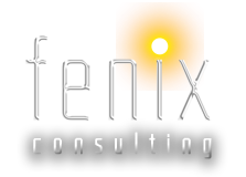 Fenix Consulting